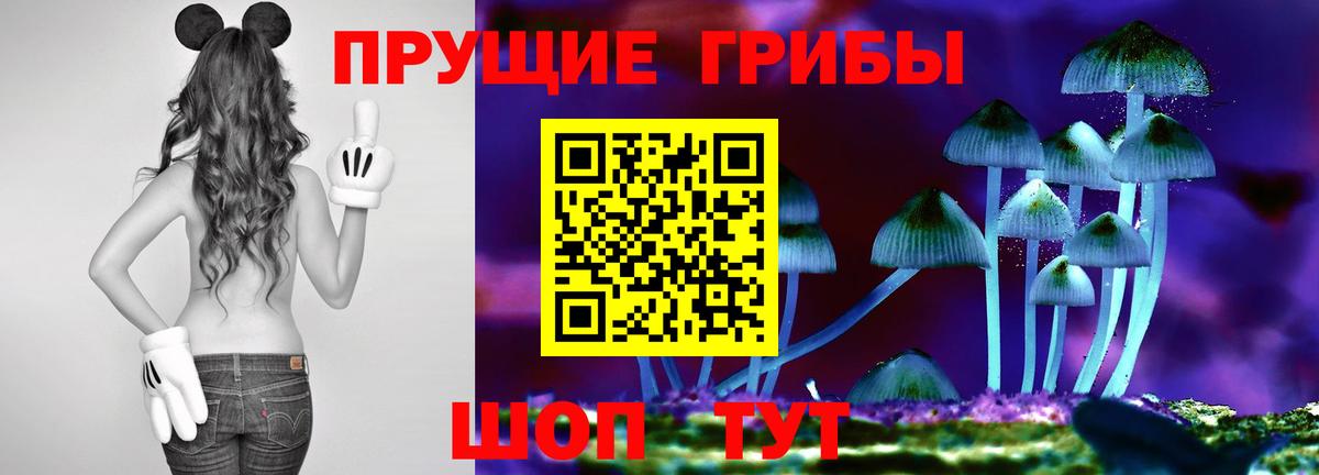 Псилоцибиновые грибы мухоморы Нефтеюганск