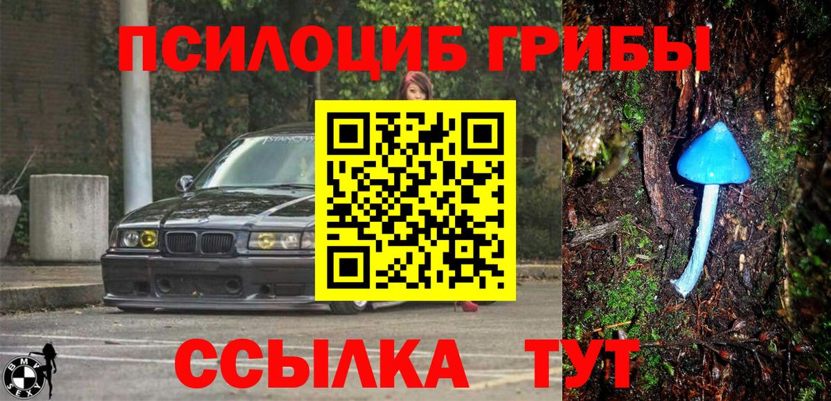 Нефтеюганск  Псилоцибиновые грибы Psilocybe  Вход с VPN 